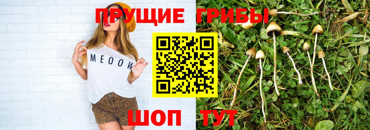 Галлюциногенные грибы Psilocybe  Галлюциногенные грибы GOLDEN TEACHER  Вход с VPN  Лабытнанги 